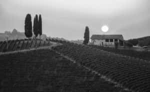 weingut_weinhaus_heuser