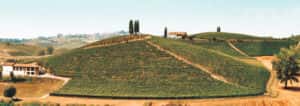 italien_header_weinhaus_heuser