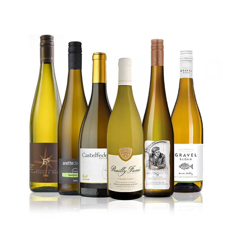 Sauvignon Blanc Weinpaket